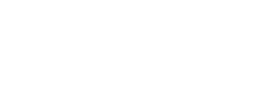 THE CHALLENGE RACE